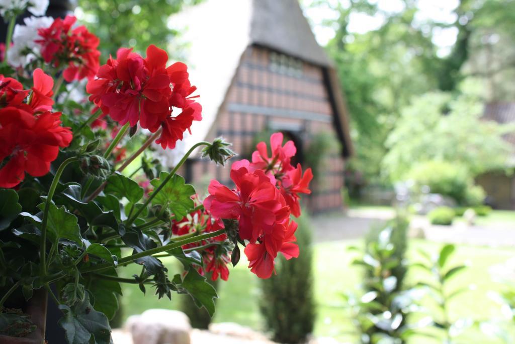 Villa Ostehof Weertzen Extérieur photo